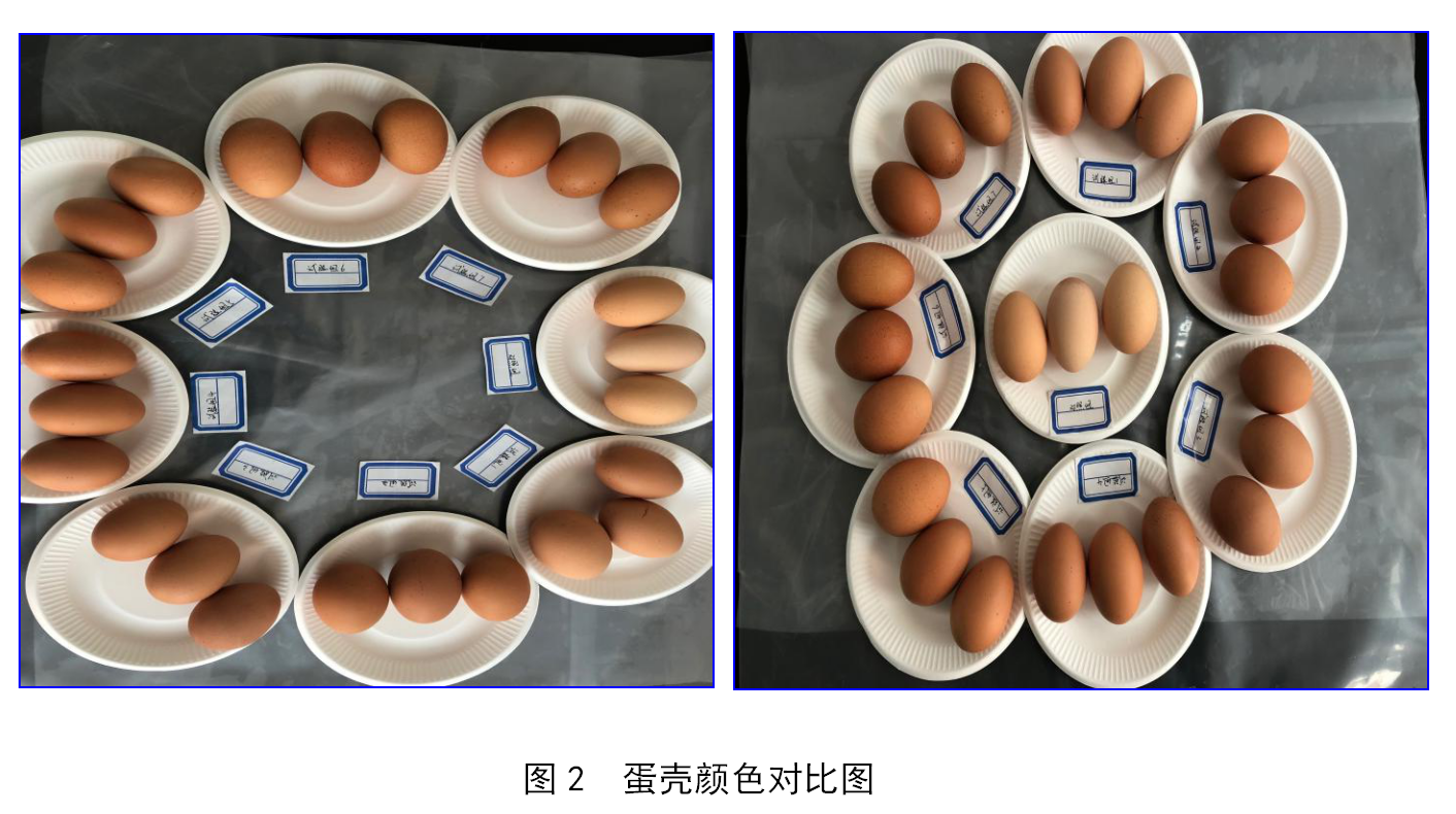 凯时首页·(中国区)官方网站