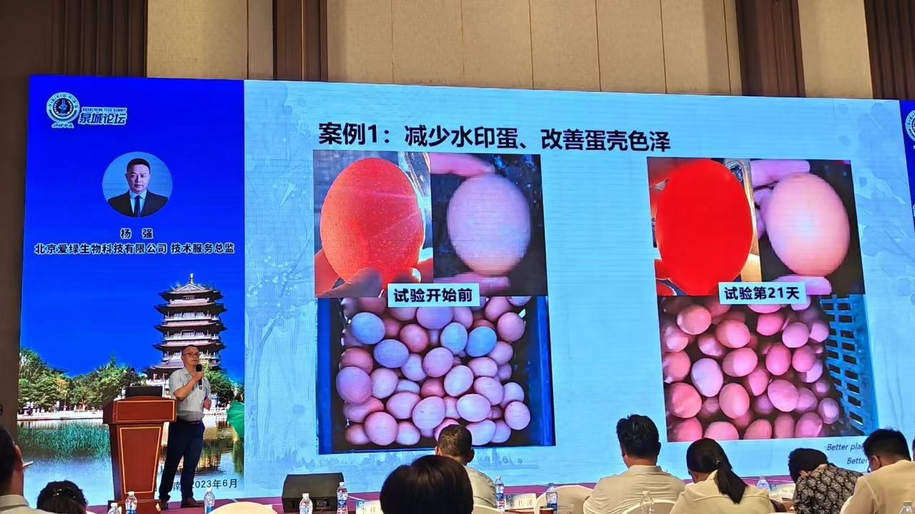 凯时首页·(中国区)官方网站